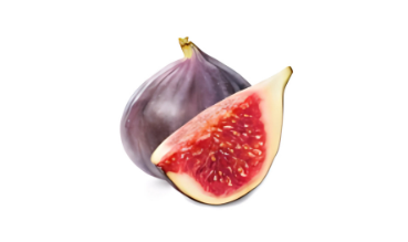 Fig